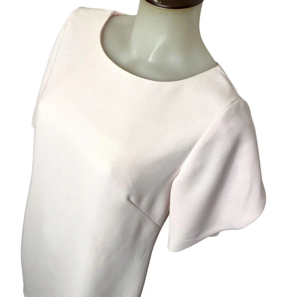 Light Pink Shift Dress With Tulip Sleeves 🤍 - Picture 3 of 10